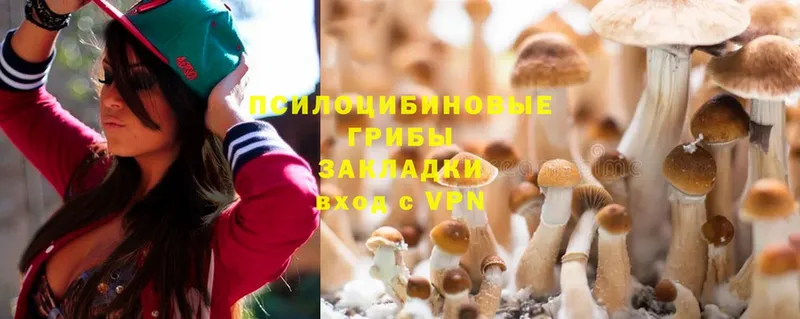 Галлюциногенные грибы Magic Shrooms  мега зеркало  Болгар 